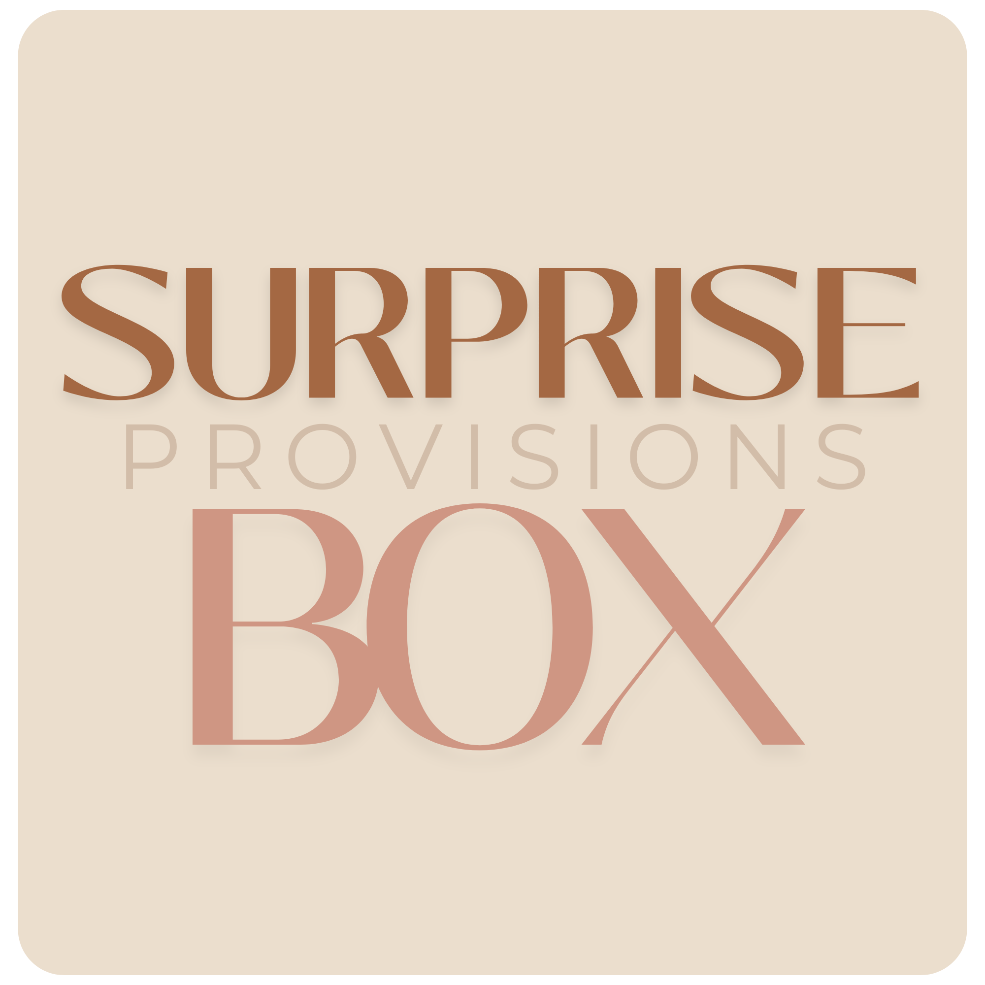 SURPRISE PROVISIONS BOX
